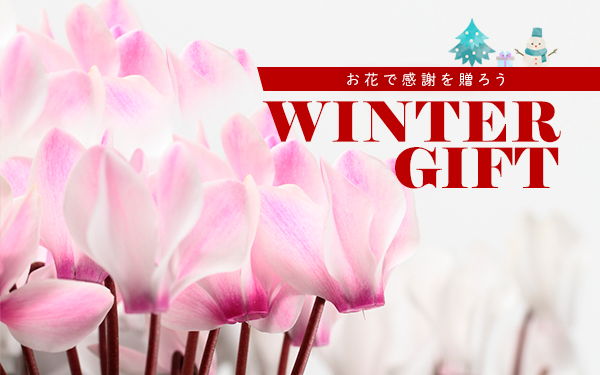 WinterFlowerGift 冬の花ギフト お花で感謝を贈ろう。