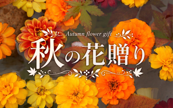 秋の花贈り